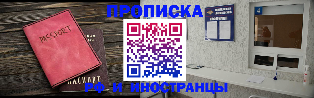 прописка поиск в Купино